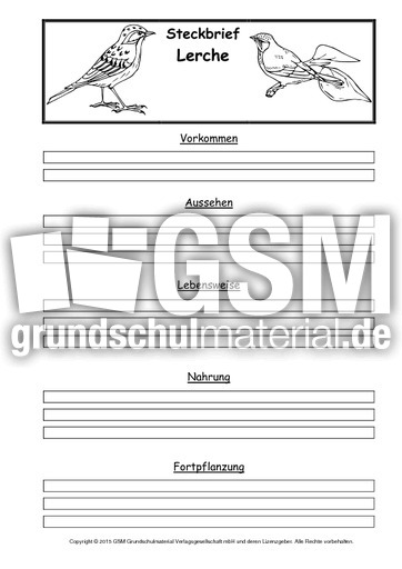 Steckbriefvorlage-Lerche.pdf